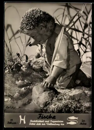 AK Igel Mecki am Flussufer mit Fischen