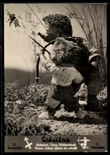 AK Sternzeichen Schütze, Mecki und sein Sohn zielen mit Pfeil und Bogen auf ein Insekt