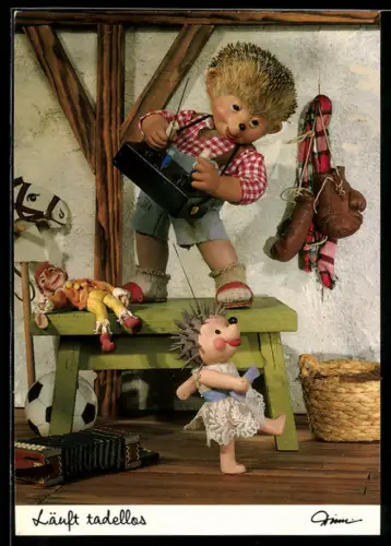 AK Mecki spielt mit einem ferngesteuerten Igel, Kaspar, Fussball