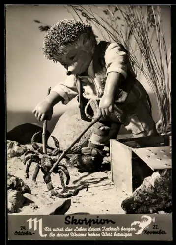 AK Igel Mecki mit einem Skorpion, Sternzeichen: Skorpion, 24.10. - 22.11.