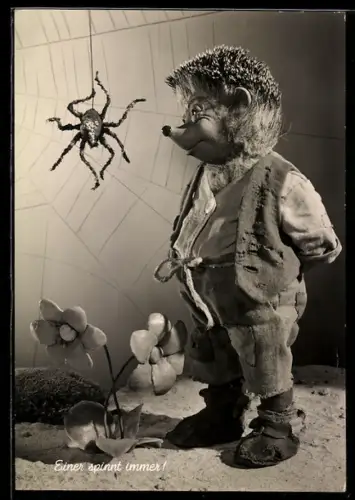 AK Igel Mecki und die Spinne im Netz