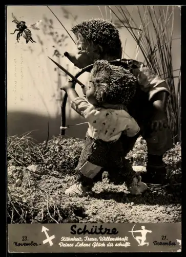 AK Sternzeichen Schütze, Mecki und sein Sohn zielen mit Pfeil und Bogen auf ein Insekt