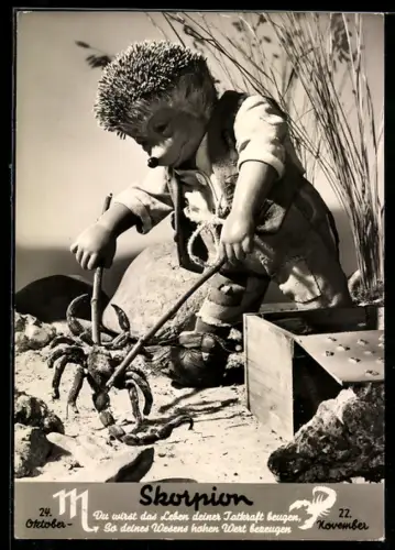 AK Igel Mecki mit einem Skorpion, Sternzeichen: Skorpion, 24.10. - 22.11.