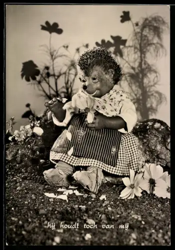 AK Igel Mecki's Frau mit dem Blumen-Orakel, Er liebt mich doch...