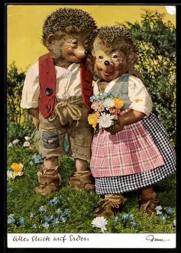 AK Igel Mecki hat sein Glück gefunden