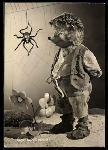 AK Igel Mecki und die Spinne im Netz