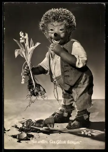 AK Igel Mecki hat eine Pflanze aus der Erde gerissen