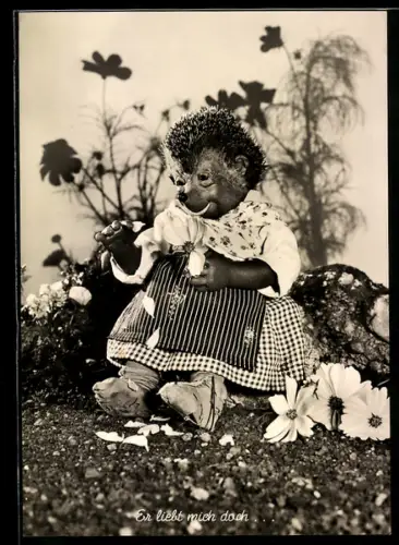 AK Igel Mecki's Frau mit dem Blumen-Orakel, Er liebt mich doch...