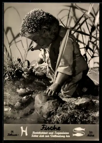 AK Igel Mecki am Flussufer mit Fischen