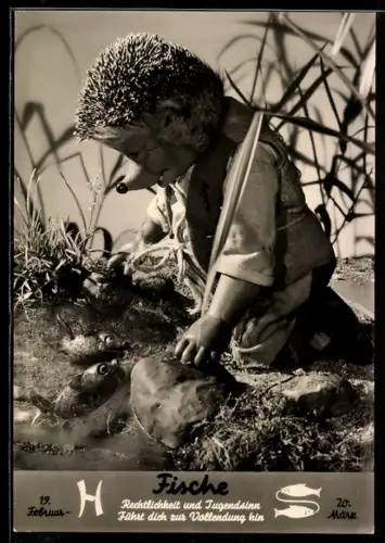 AK Igel Mecki am Flussufer mit Fischen