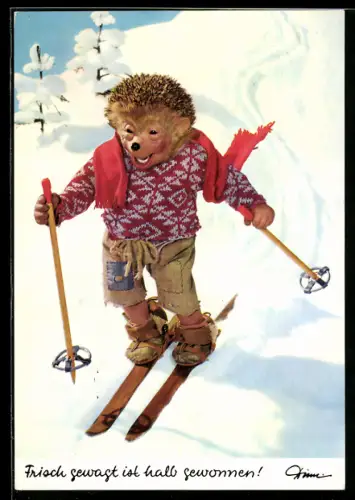 AK Mecki fährt Ski den berg hinab