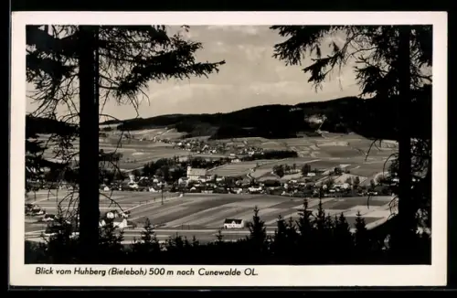 AK Cunewalde /O. L., Blick vom Huhberg