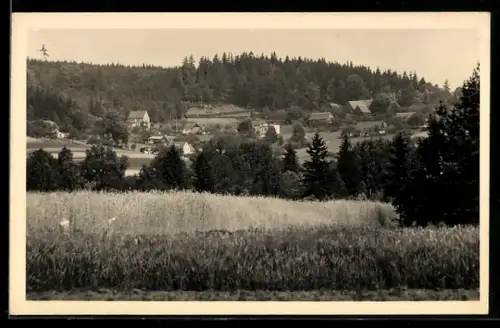 AK Oppach /O. L., Ortsansicht am Wald