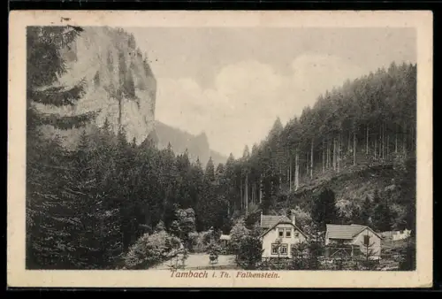 AK Tambach i. Th., Falkenstein am Wald