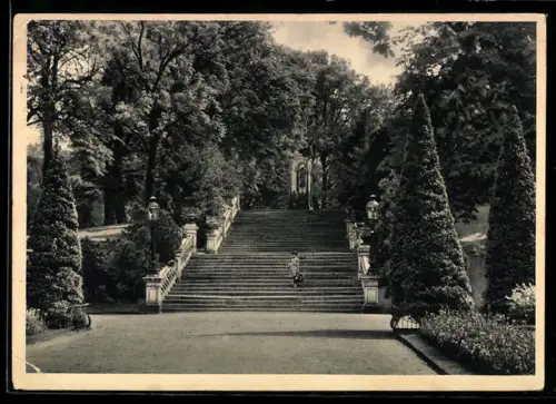 AK Freiberg, Stadtpark, Freitreppe im Albertpark