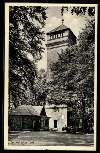 AK Zwingenberg a. d. B., Melibokus-Turm