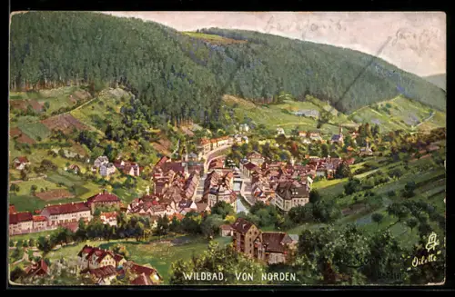 Künstler-AK Raphael Tuck & Sons Nr. 738: Wildbad, Totalansicht von Norden