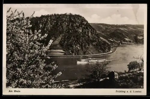 AK Dampfschiff vor der Loreley