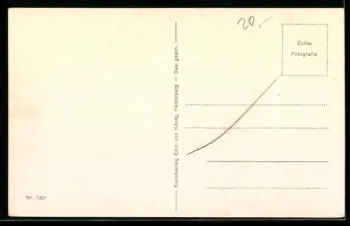 AK Die Lorelei, Rhein