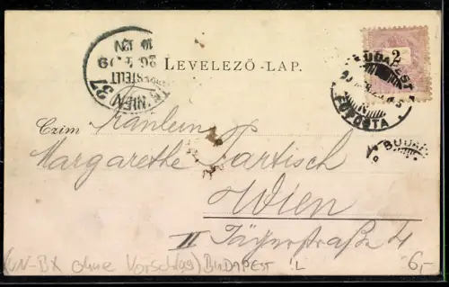 Lithographie Budapest, Königliche Oper mit Strassenpartie