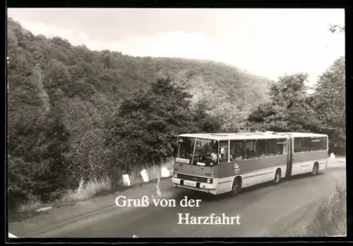 AK Ikarus-Gelenkbus bei einer Harzfahrt