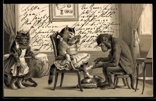 AK Pediküre für die Katz mit Affe