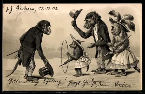 AK Vermenschlichte Affen bei einem Sonntagsspaziergang