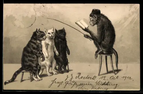 AK Affe unterrichtet die Katzenkinder