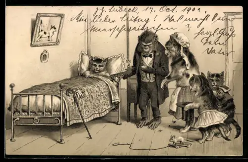 AK Affe als Doktor untersucht eine kranke Katzen-Patientin, vermenschlichte Tiere