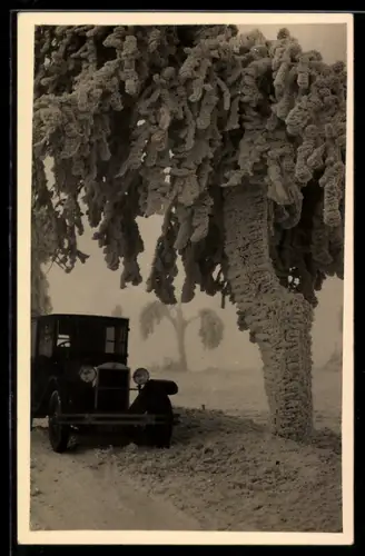 Foto-AK Auto mit Kennzeichen P VI 459 bei stark verschneitem Baum im Winter 1932