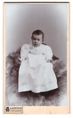 Fotografie A. Wertheim, Berlin, Leipzigerstr, Porträt von Erika Müller