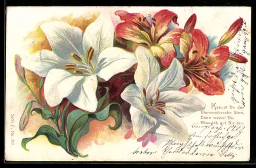 AK Orangefarbene und weisse Lilien