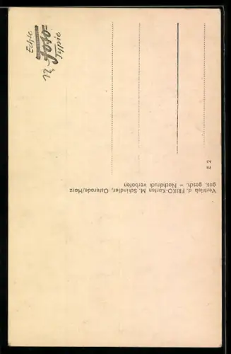 AK Reserve hat Ruh!, Entlassener Soldat, Bundeswehr