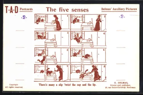 AK The five senses, There`s many a slip..., Delmas` Auxiliary Pictures