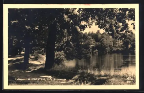 AK Allentsteig /N.Ö., Promenade am Wasser