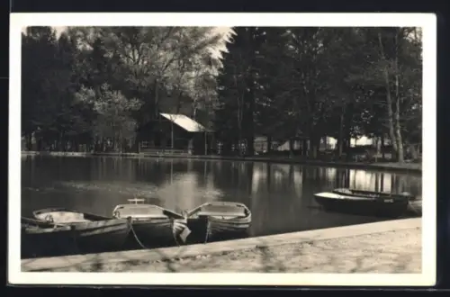 AK Aspang /N.-Ö., Am Teich im Ort
