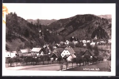 AK Göstling /N.Ö., Panorama mit Bergen