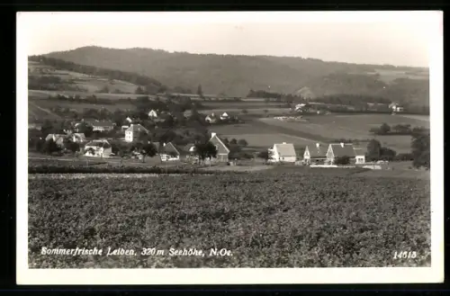 AK Leiben /N.-Ö., Panorama mit Ort und Feldern
