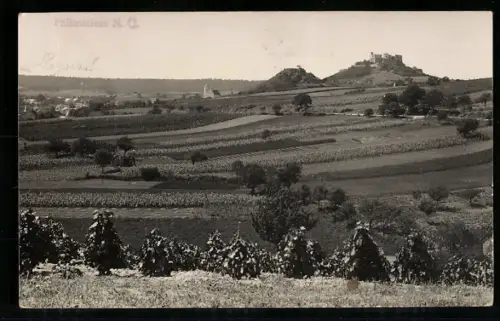 AK Falkenstein /N. Ö., Panorama mit Burg auf Hügel und Weinbergen