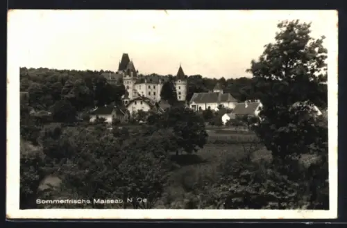 AK Maissau /N.-Ö., Blick zum Schloss