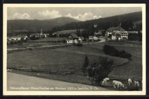 AK Mönichkirchen am Wechsel, Panorama mit Ort, Kirche und Kühen