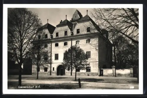 AK Gänserndorf /N.Ö., Schlossfront mit Bäumen
