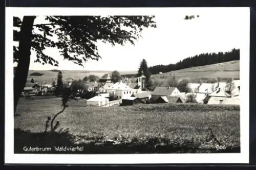 AK Gutenbrunn /Waldviertel, Ortspanorama mit Kirche und Häusern