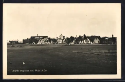 AK Göpfritz a.d. Wild, Panorama mit Ortsbebauung