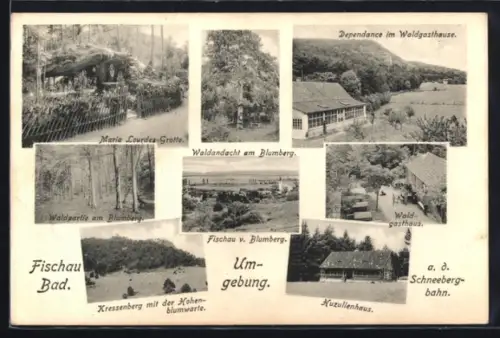 AK Fischau a. d. Schneebergbahn, Umgebung mit Kressenberg, Waldpartie, Waldgasthaus