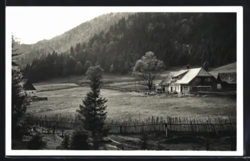 AK St. Aegyd am Neuwalde, Fadental, Gasthaus Labenbacher