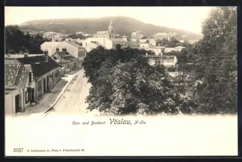 AK Vöslau /N.-Ö., Panorama mit Kirche