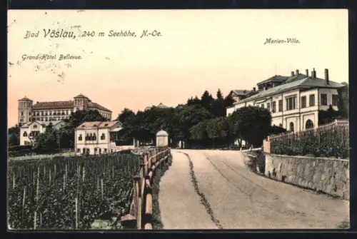 AK Bad Vöslau /N.-Oe., Grand-Hotel Bellevue, Marien-Villa