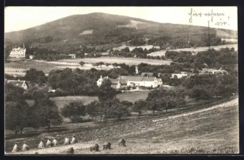 AK Buchbach bei Pottschach, Panorama mit Gehöften