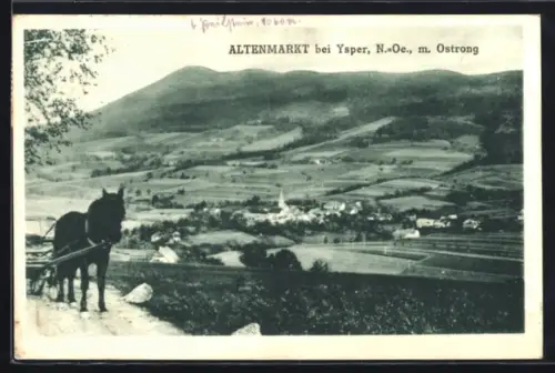 AK Altenmarkt bei Ysper, Panorama mit Ostrong und Pferdegespann
